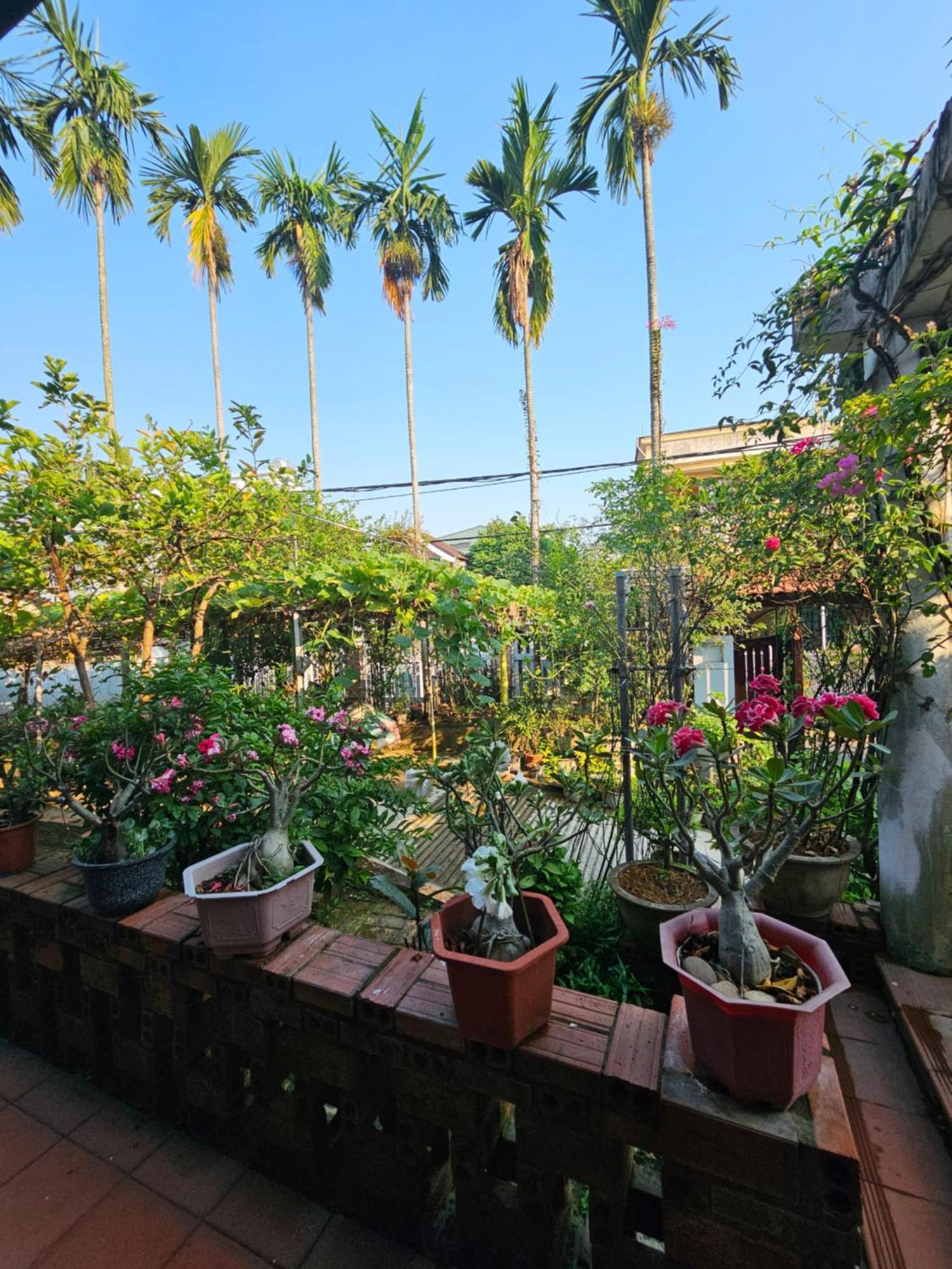 Rose Homestay Hue Thon Kim Long Luaran gambar